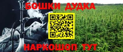 гидра Обь