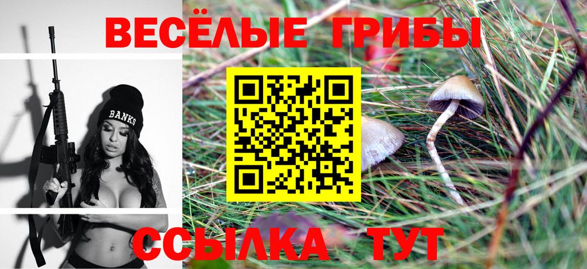 Псилоцибиновые грибы мухоморы Петрозаводск